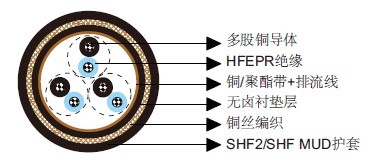 S2 or S2/S6 RFOU(i) 250V